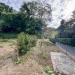 鶴岡八幡宮、小町通りへ徒歩圏内 建築条件なしの全2区画 【小町1丁目 土地】